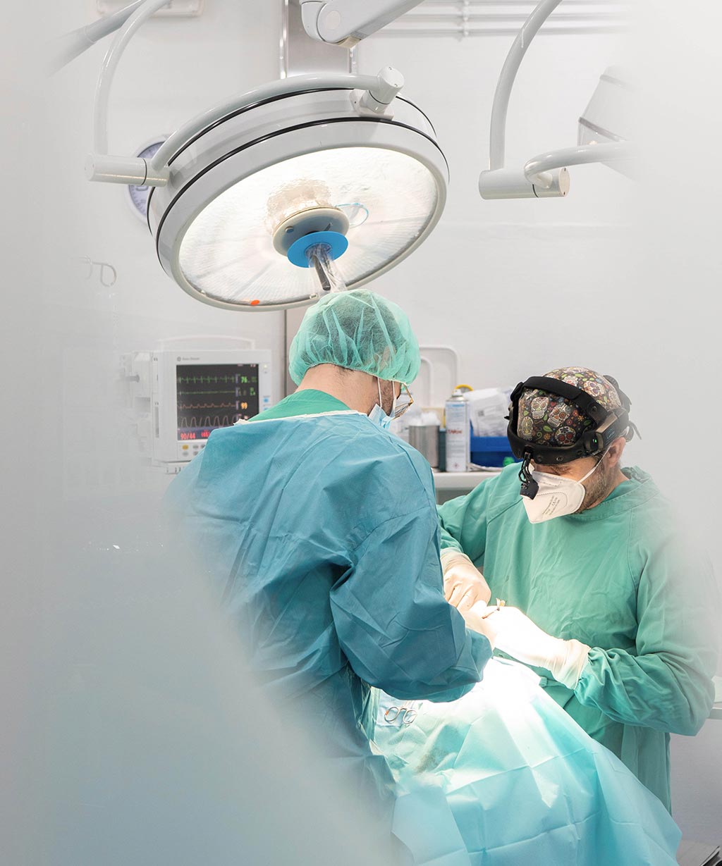 Intervenciones estéticas - Otoplastia